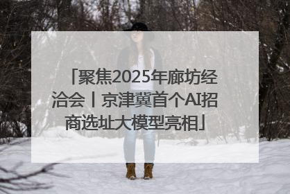 聚焦2025年廊坊经洽会丨京津冀首个AI招商选址大模型亮相